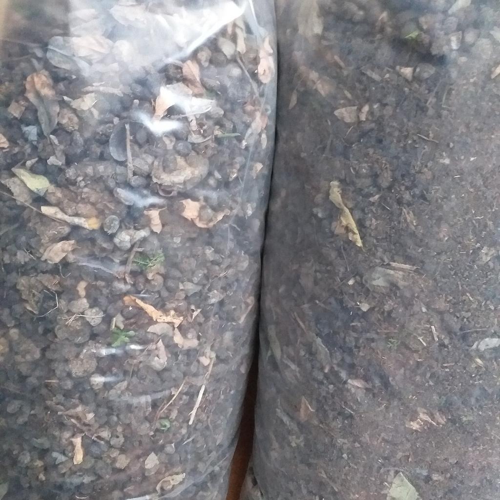domo dnger TerraDomi Herbstdnger Kali Dnger Kalium Dnger I Wurzelstrkung und  Pflanzenkrftigung  TerraDomi Onlineshop