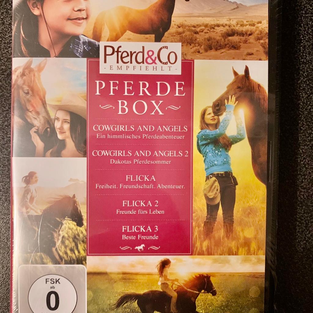 dvd-pferde-box-5-filme-eine-box-neu-in-79336-herbolzheim-f-r-8-00
