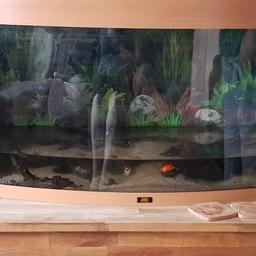 fish tank and stand stand little bit damaged dose not affected  it with lights and filters