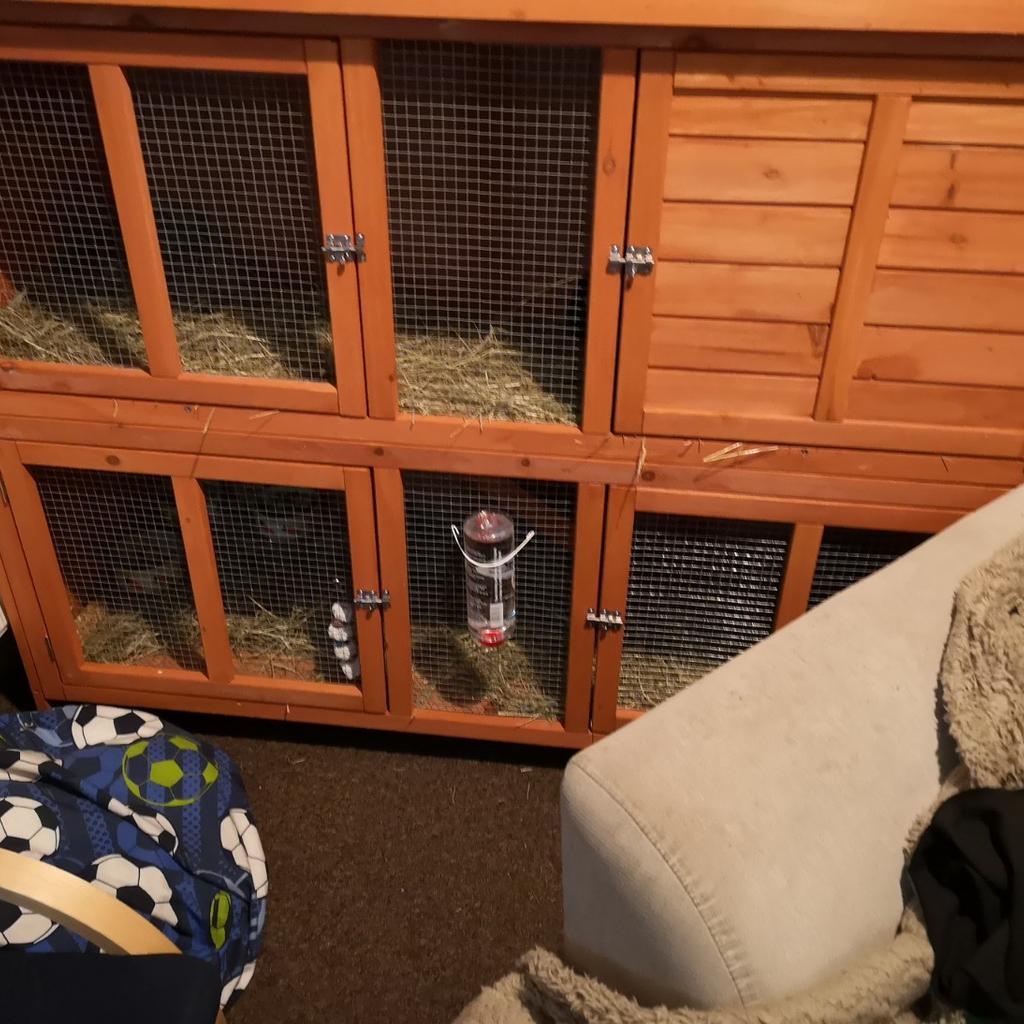 large rabbit hutch in BB10 Burnley für £ 65,00 zum Verkauf Shpock AT
