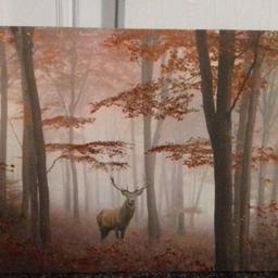 large dear canvas picture in good condition I got it from the range pick up fy1 
Width: 80cmHeight: 60cm