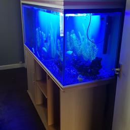 selling my 5ft long tank by 2ft deep by 2ft wide when it stands on stand its 4 n half 4 high comes with two digital thermometer air pump with air stone gravel ornaments fish air filter blue light plants it's a 1000 ef filter fish food wave maker and stand 250