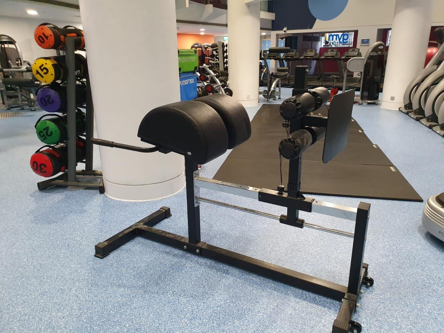 Watson glute ham raise cheap