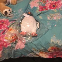 Brand New Good Condition £12 For Both
Or £8 For Bear And £5 For Penguin
Both Need Gone For Extra Space
(PROMO CODES CAN BE FOUND ON TWITTER @ CADYGAMES_YT2 ONE USE ONLY ☝️)
SALE £5 FOR BEAR SALE £3 FOR PENGUIN