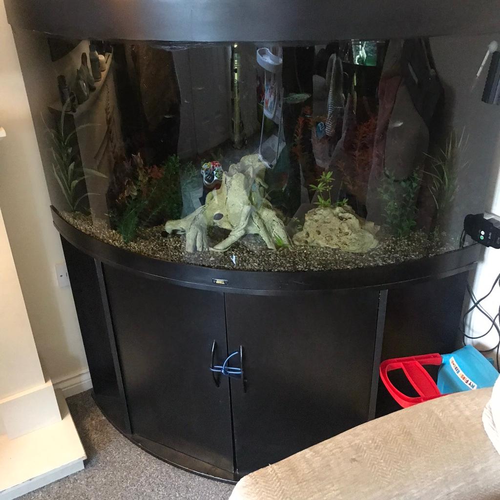 Juwel trigon 350 litre in Barnsley for £125.00 for sale Shpock