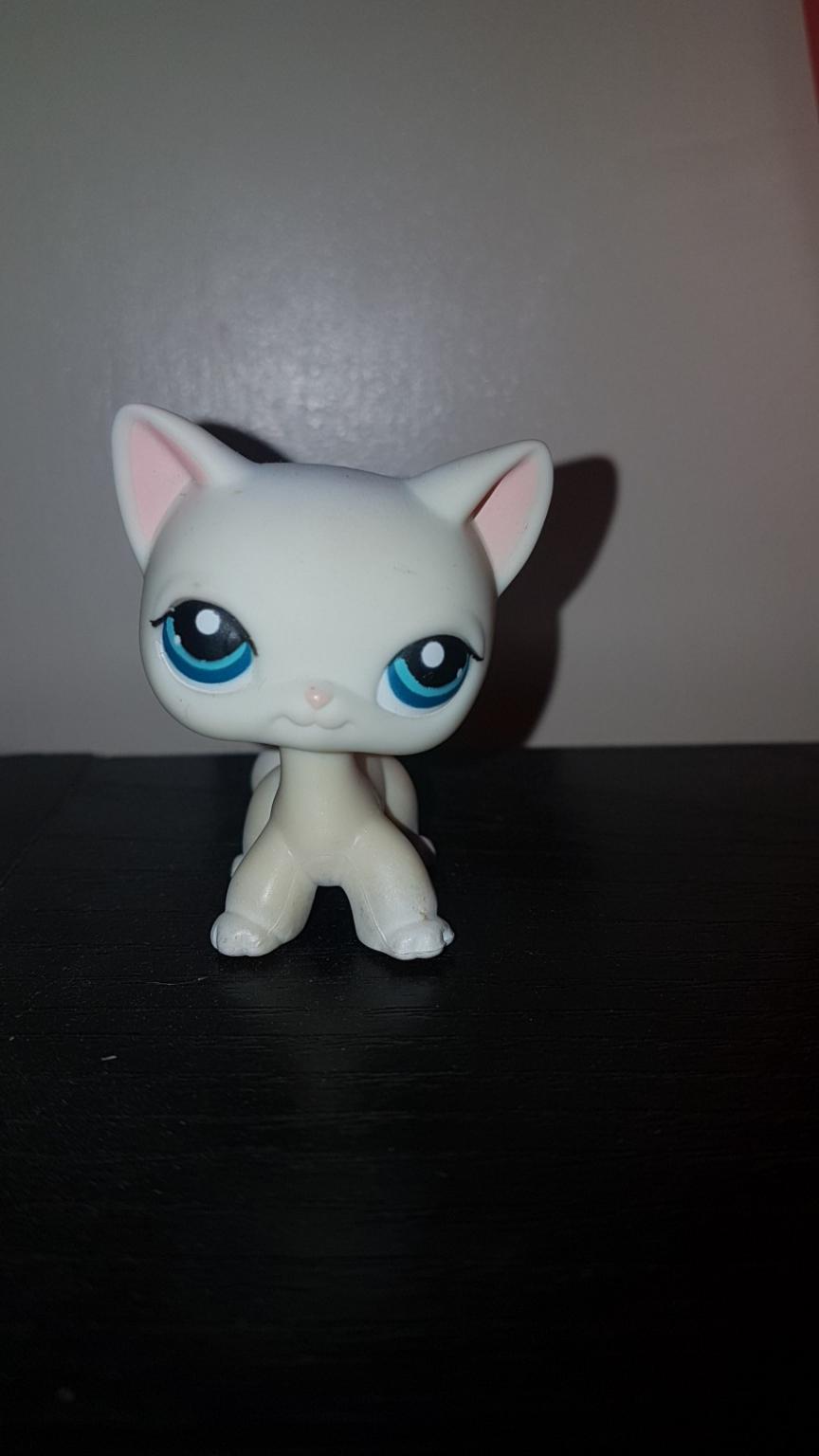 littlest pet shop rarest shorthair cat in Fenland for £1,234.00 for