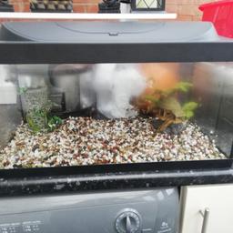 Roughly a 50l tank. comes with gravel, 2 ornaments, light and a filter. You will need to get components for filter as they needed changing but they are only a few pounds. It a very sturdy heavy tank as the base is a metal frame. it's 2ft by 1ft by 1ft. can be used for cold or tropical fish. all ready to go