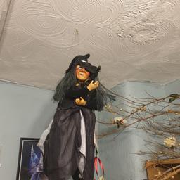 Flying Violet Pendle Witch 45cm Gray/Black.
She comes with the Pendle witch information booklet. She is a genuine Pendle witch.