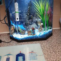 for sale 30 litres fish tank comes with brand new heater,filter and ordaments