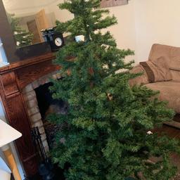 Christmas tree with stand and box collection only Hornchurch.
