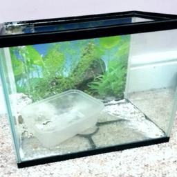 Ideal as a hospital tank for for fish like tetras, guppies ect or to raise fry
