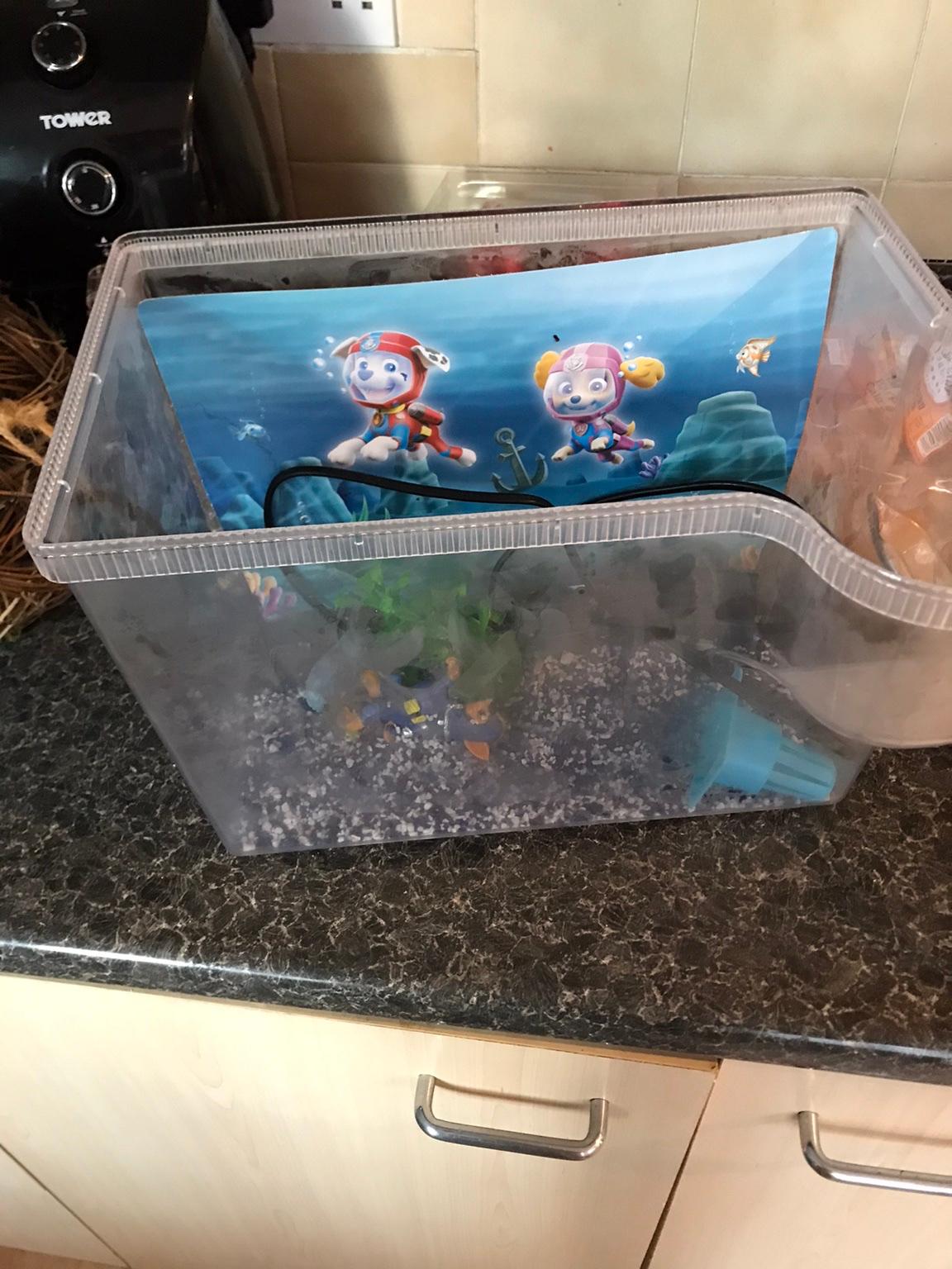 Paw patrol fish outlet tank