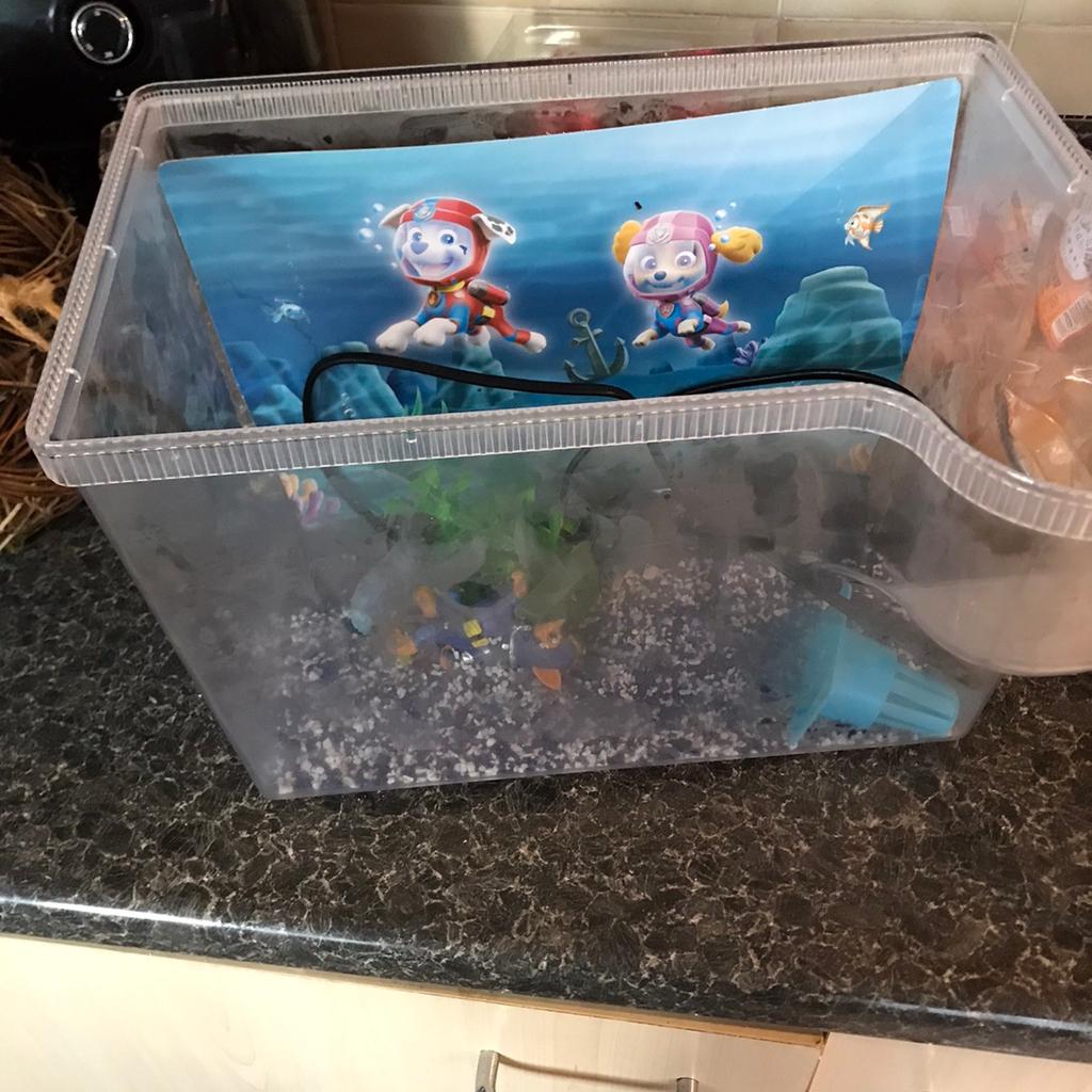 Paw patrol best sale fish tank