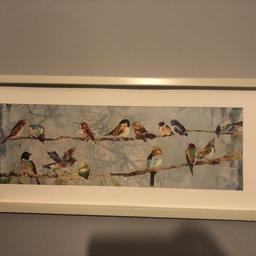 Bird print in white frame £8