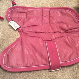 Quality puppy outdoor coat, used but plenty of ware left.Ex condition