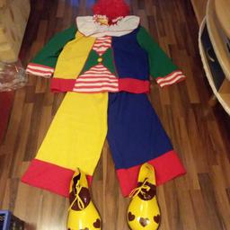 Clown, inklusive Perücke und Schuhe, Größe 50, Schuhe für Erwachsene groß genug