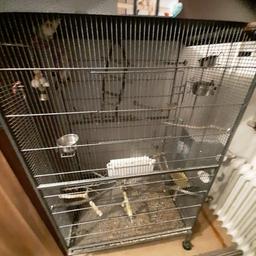 verkaufen Vogel Käfig mit zwei Nymphensitiche mit Furor dabei  nur zum selbst abholen und ohne Rückgabe