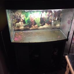 Sell a 3 ft fish tank with a shelving unit comes with heater and built in filter and pump doesn’t have doors on the front I had to buy 2 separate ( your more than welcome to have the 2 I have ) need gone £80 ONO