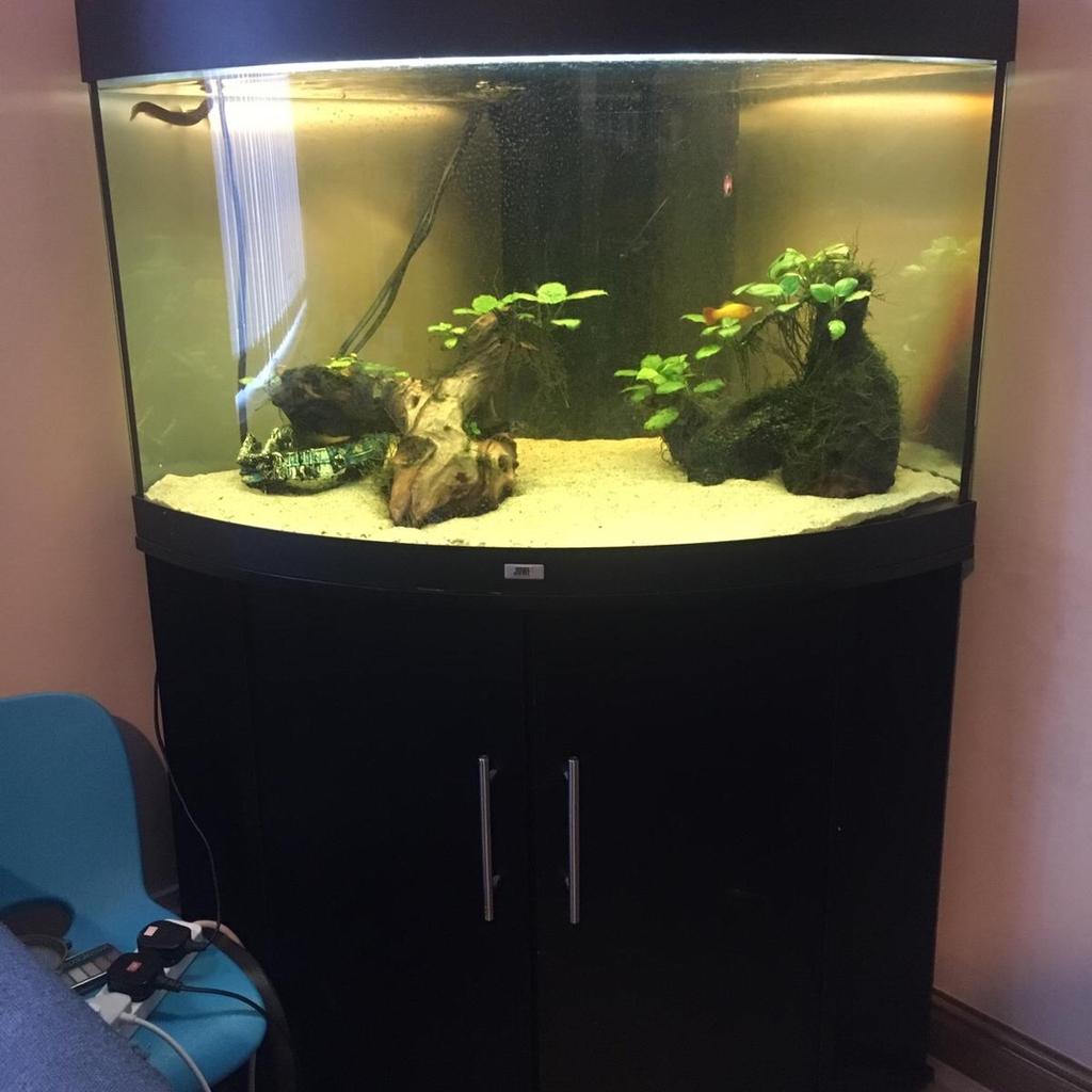 A juwel aquarium corner fish tank in CA11 Penrith for £150.00 for sale ...