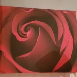 red rose canvas no damage