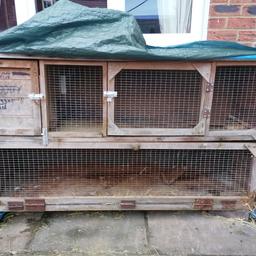 Has had new latches and sturdy hutch, usual stains and bottom door needs a little tlc
5ft long x 1.5ft depth
Price ono
Collection only
Please be aware rabbits need a minimum of 60sqft 24hr access so a run, shed, aviary are good to use alongside hutches