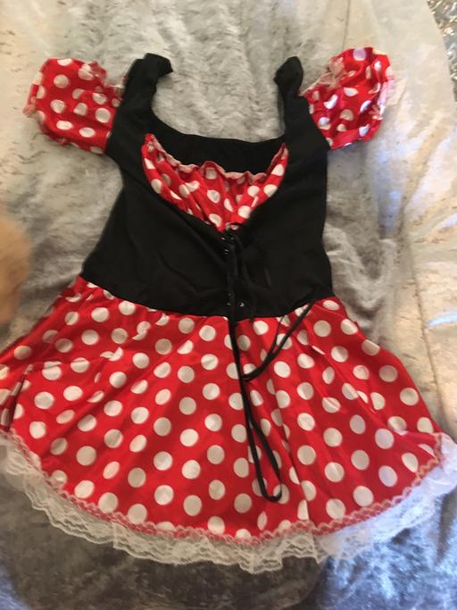 Buy & Sell West Midlands Sandwell - Photos for Minnie Mouse costume