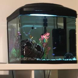 48 litre fish tank with accessories
1x bag of white stones
Filter
Heater
Oxygen bubbles
8 x plants
2 x accessories
Fish net

& few other bits