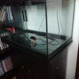Fish tank 
comes with a black two door cabinet and is removable.
1 bright + 1 blue Lights, plus two spare.

⚠️Please make sure 
⚠️you check the dimensions:
⬇️🔽⬇️⏬⬇️🔽⬇️

Wide 2ft - 60cm 
Deep 14inch - 35cm
Tall 14inch - 36cm 
⚠️
With cabinet it's 40 inches tall - 102 cm.
⚠️
75 Litres

Cash on collection, Peterborough Bretton

Before you message me,
please check the measurements 😊
Thanks 👍