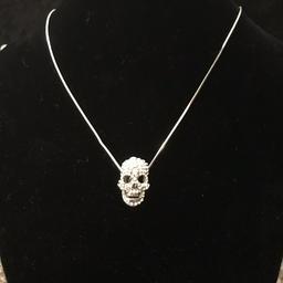 Wow there are know words to describe this fantastic Butler And Wilson Style Crystal Skull Necklace. It big and bold and if your looking to make a statement this is the necklace for that. This amazing necklace will go with any outfit and will always stand out.

If you’ve got any questions please contact me and I will be more than happy to well thank you for looking