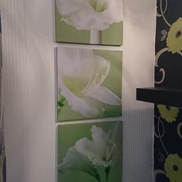 Green flower canvases x3 small with lily flowers on, and x2 large green flower canvases.
All in a fairly good condition really, bought them off here when I wanted green, no longer wanted now as changing colour scheme.
Collection only please. No time wasters. Price is for all the pictures.!