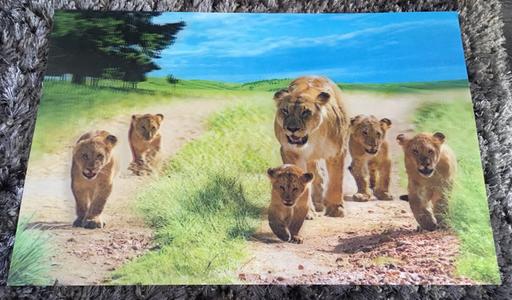 Buy & Sell Leicestershire Charnwood - Photos for 3D effect wall image of lions