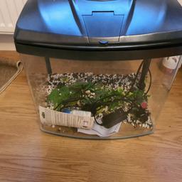aqua one small fish tank, never been used. no box but brand new.