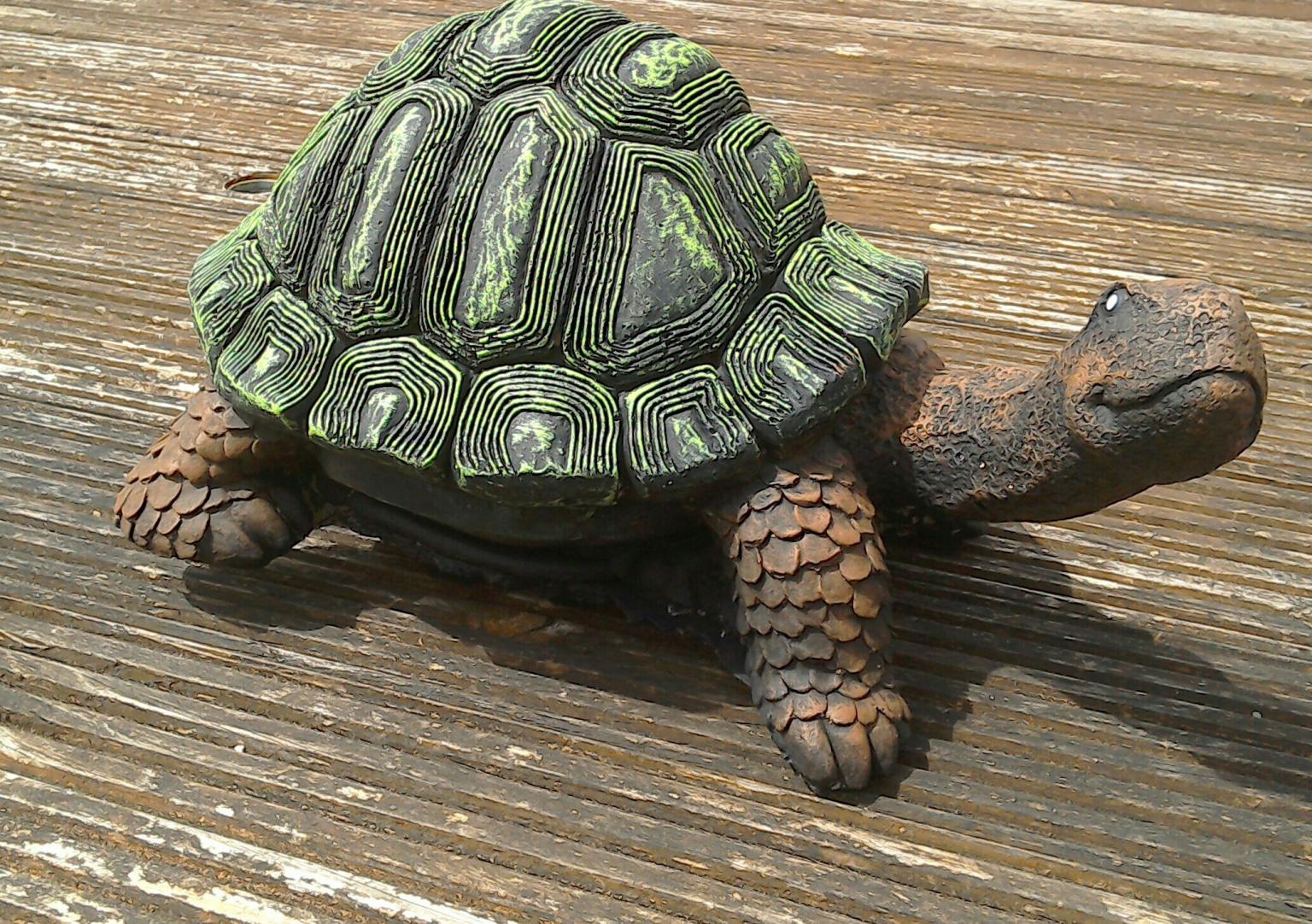 tortoise garden ornament in B37 Solihull for £8.00 for sale | Shpock