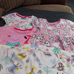 4 x summer dresses)

2 x peppa pig
1 x disney maria cat
1x safari animal all short sleeves ( all in excellent condition from smoke and pet free home
Lovely dresses 😊