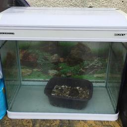 aprox 200L fish tank. Comes with pump and ornaments seen in pictures. Very good used condition. Collection only.