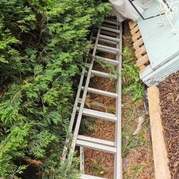 Ladders in good Condition need gone