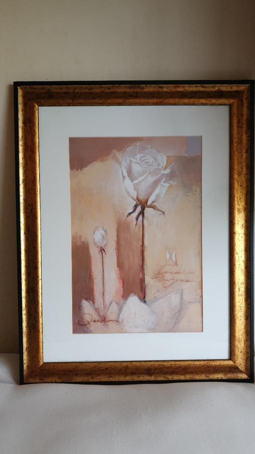 Buy & Sell Essex Basildon - Photos for Rose Picture with attractive gold frame