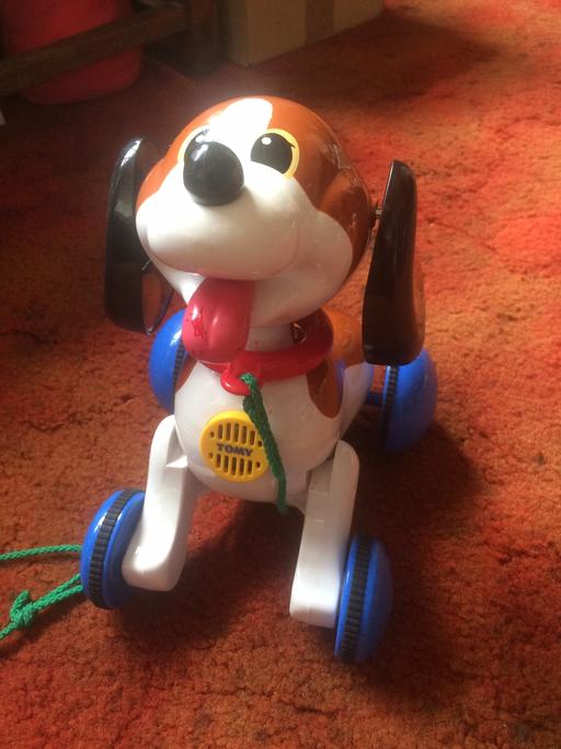 Buy & Sell Torfaen - Wales Pentwyn - Torfaen - Photos for Barking pull along vintage toy dog