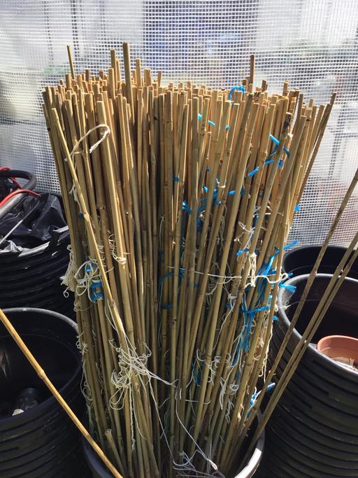 Buy & Sell West Heath South East London - Photos for Bamboo sticks 5 for £2 size 4 ft