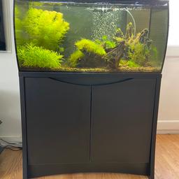 bought Christmas 2019, running since February this year. 

3 types of aquatic plants growing well and moss on two pieces of driftwood. No fish have been put in yet (due to COVID-19).

Selling due to a change in living circumstances. Everything in excellent condition. 

PICK UP ONLY, DIDCOT. I can empty the tank for transport, the plants will survive for many hours while still wet.

Tank dimensions: 82 x 40 x 39cm (L x W xH)
Cabinet dimensions: 82.8 x 42 x 75.5cm (L x W xH)