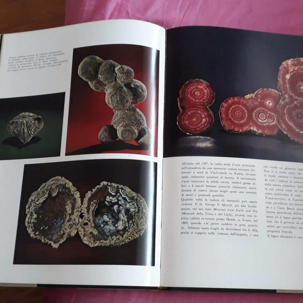 vendo libro del 1972 'i minerali' di Paul Desautels, ricco di immagini, chiedo 9 € con ritiro a mano in Milano zona Cadorna o aggiungere le spese di spedizione