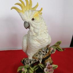 Statua ceramica pappagallo su ramo senza marchio in ottime condizioni
L'articolo è disponibile presso il mercatopoli di monza via Simone martini n 1
039833581