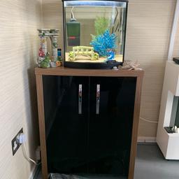 Fish tank 40 litre with one pleco good condition comes with stand filter heater and a selection of plants and ornaments. Also included is a scrap glass cleaner and a no spill python for water changes 75 Ono.