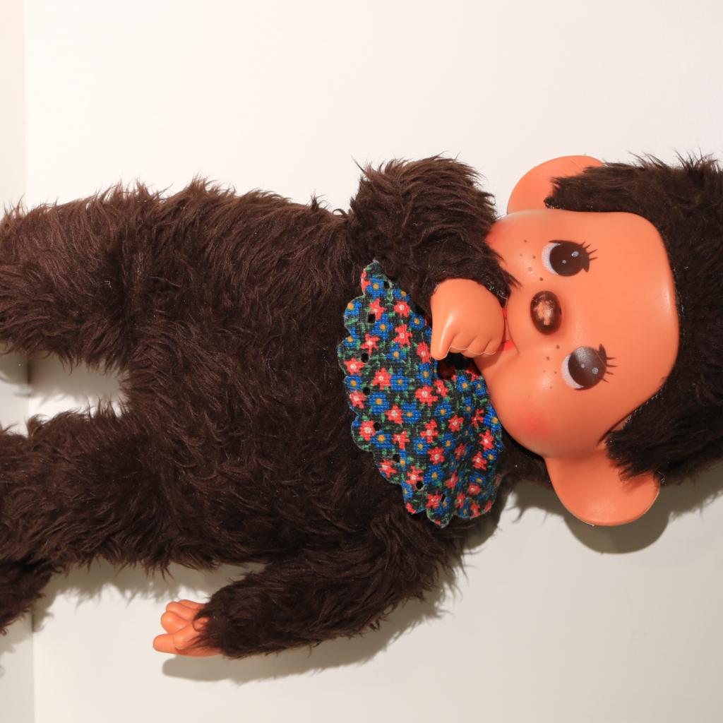 Monchichi Monchhichi Junge 70er in 90461 Nürnberg für 11,00 € zum