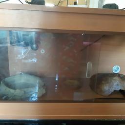 3 foot Vivarium full set up. Thermostat, heat lamp, UV light, water bowl, food bowl and cave all included. Cash on collection. No time wasters please.