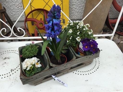 Buy & Sell Kent Maidstone - Photos for vintage industrial pot planter herb garden