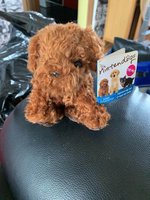 Buy & Sell North Northamptonshire Corby - North Northamptonshire - Photos for Nintendogs Toy Dog Collectible 