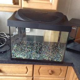 Ex condition want to upgrade Light and filter /fresh gravel collect only