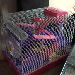 Comes with everything in picture, 3 hides, water bottle with mount, super silent expensive silent spinner wheel, a food dish and a play tube