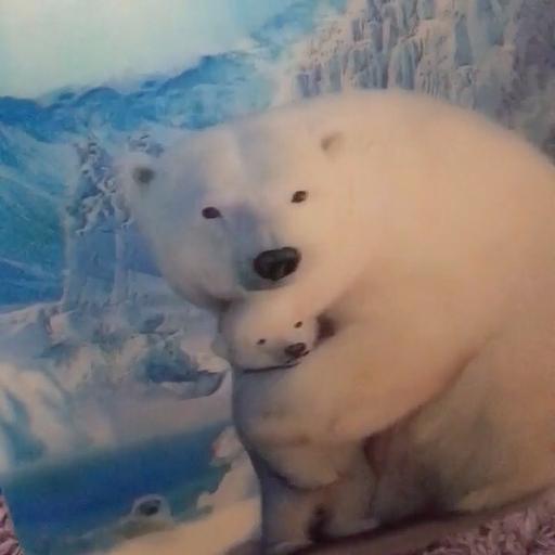 Buy & Sell Gloucestershire South Gloucestershire - Photos for Holographic polar bear artic scene with seal